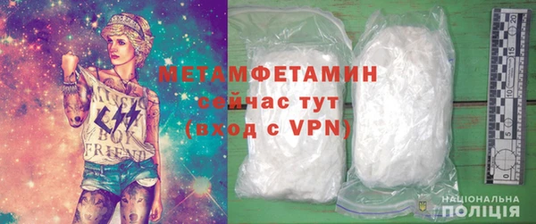 прущие грибы Коряжма