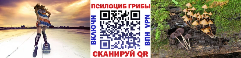 Псилоцибиновые грибы Cubensis Нюрба